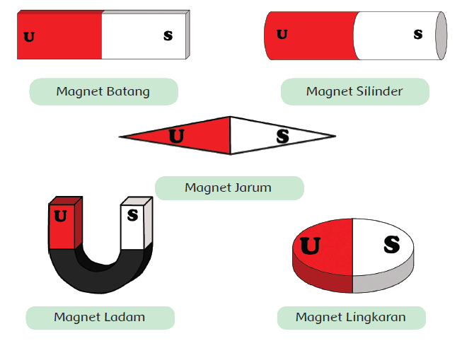 10 Fakta Tentang Magnet