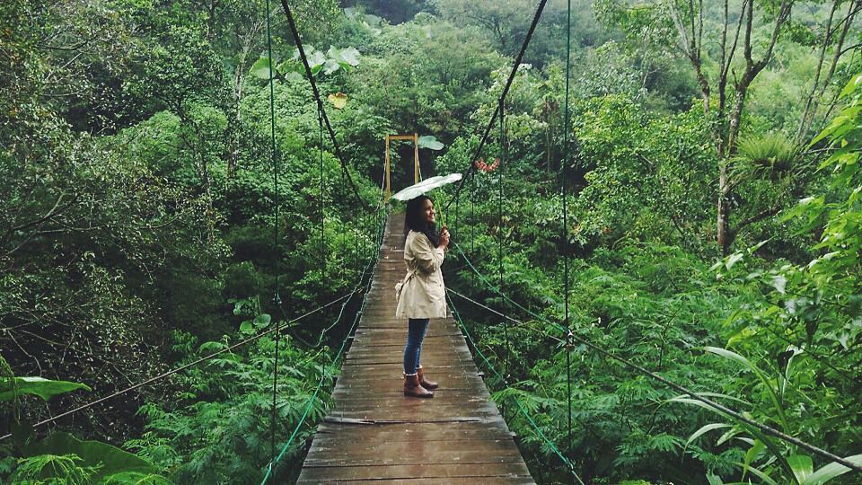 Taman Hutan Raya Ir. H. Djuanda Taman Hutan Raya Ir. H. Djuanda