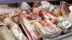 Modal Bisnis Frozen Food