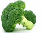 01-sayur-brokoli