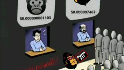 Mengenal Apa Itu FEG Token (FEG) : Memberi Makan Setiap Gorilla