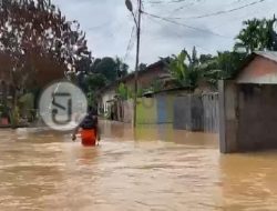 Banjir Rendam Ratusan Rumah Warga di Jambi