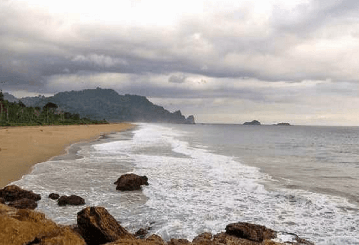 Pantai Sukamade Banyuwang