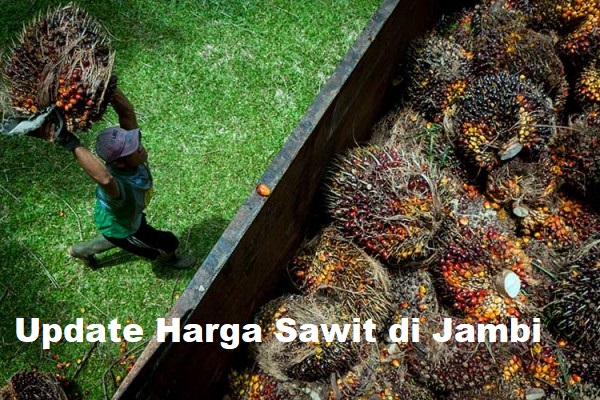 Update Harga Sawit di Jambi Saat Ini