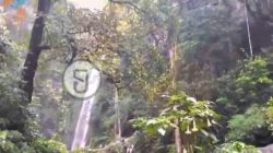 Wisata Air Terjun Kakek Bodo yang Dingin dan Sejuk di Pasuruan