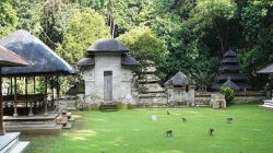 Wisata Alas Kedaton Bali, Wisata Kawasan Hutan Lindung Yang Terpelihara