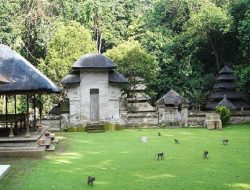 Wisata Alas Kedaton Bali, Wisata Kawasan Hutan Lindung Yang Terpelihara