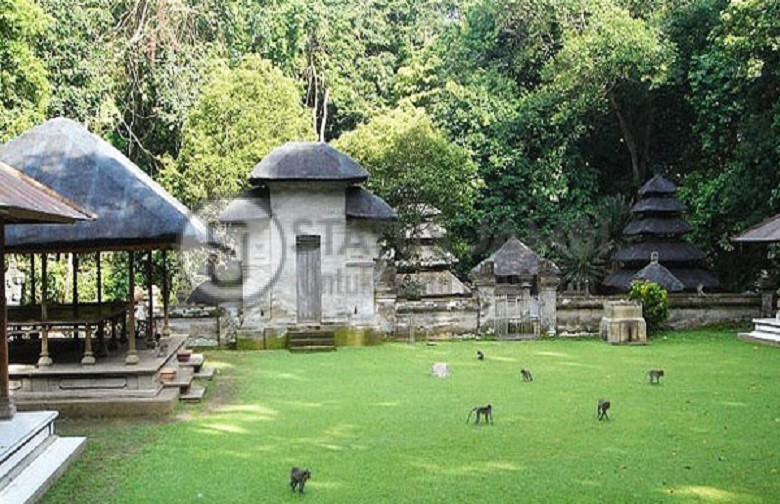 Wisata Alas Kedaton Bali, Wisata Kawasan Hutan Lindung Yang Terpelihara
