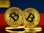 Memahami Bitcoin dan Cryptocurrency: Peluang dan Risiko