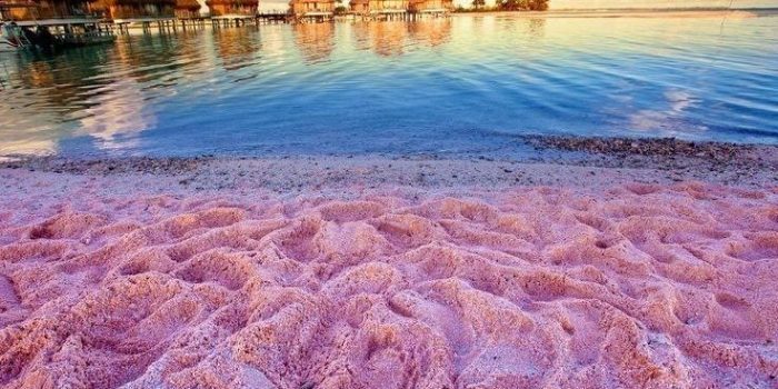 Pantai Berpasir Merah Muda