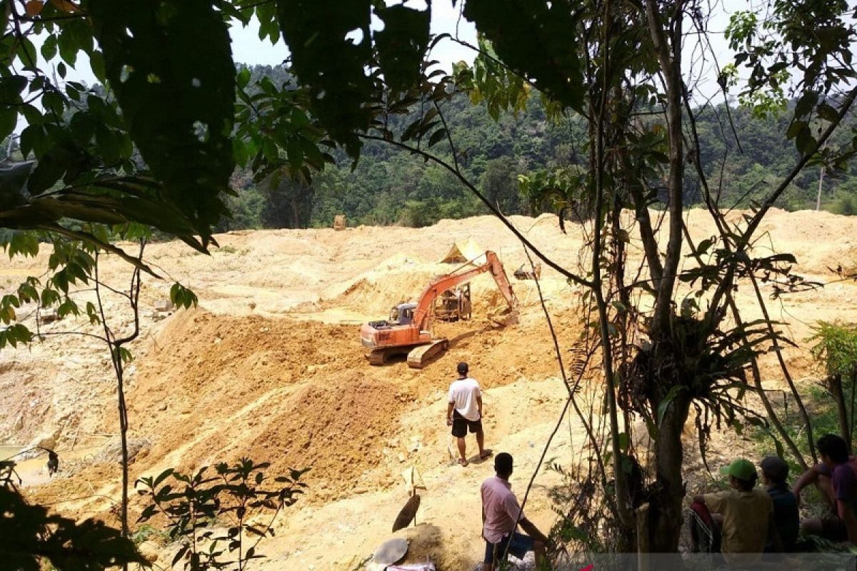 10 Sumber Pendapatan Masyarakat di Jambi: Potensi Ekonomi yang Menjanjikan