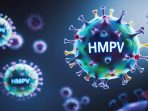 Mengenal HMPV Virus Gejala, Penularan, dan Pencegahan